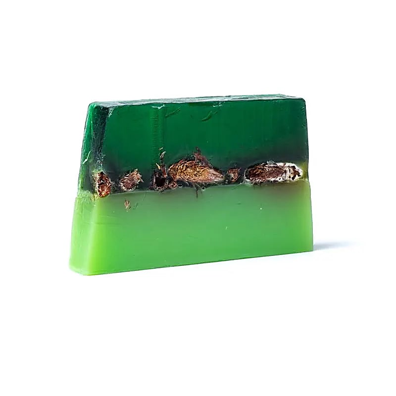 Handgemachte Seife Pinienknospen